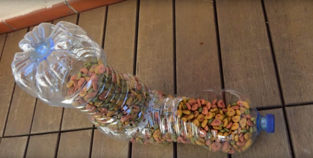 compartir Colgar Maldición Dispensador de comida para gatos, con botellas recicladas